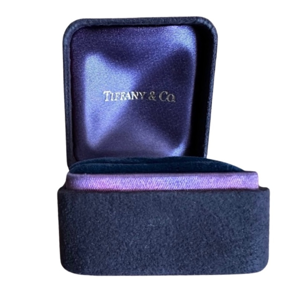 Tiffany & Co. Black Suede, Dark Blue Velvet, Purple Silk, Earrings Jewelry Box